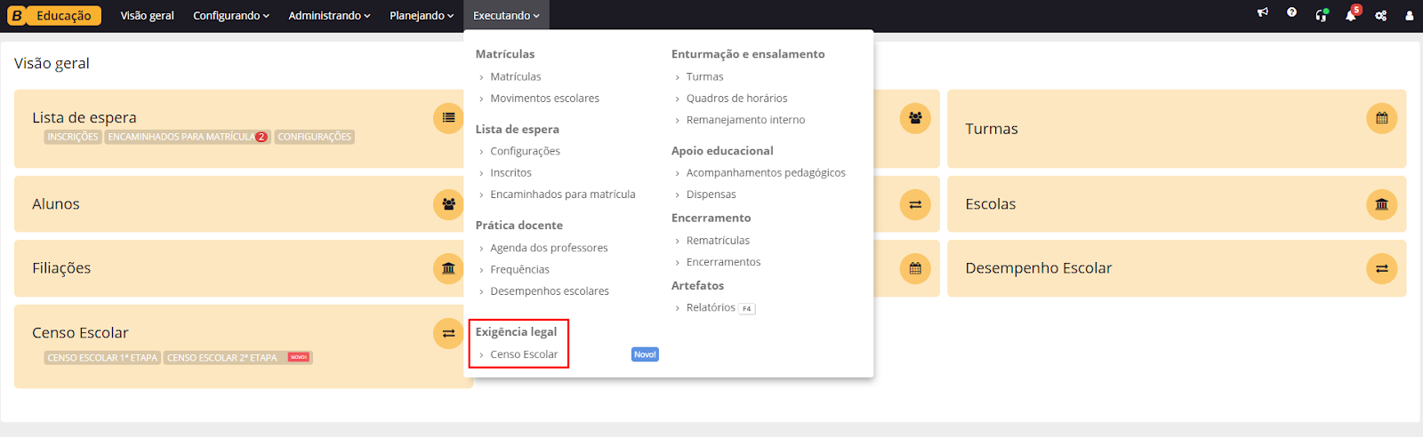 executando